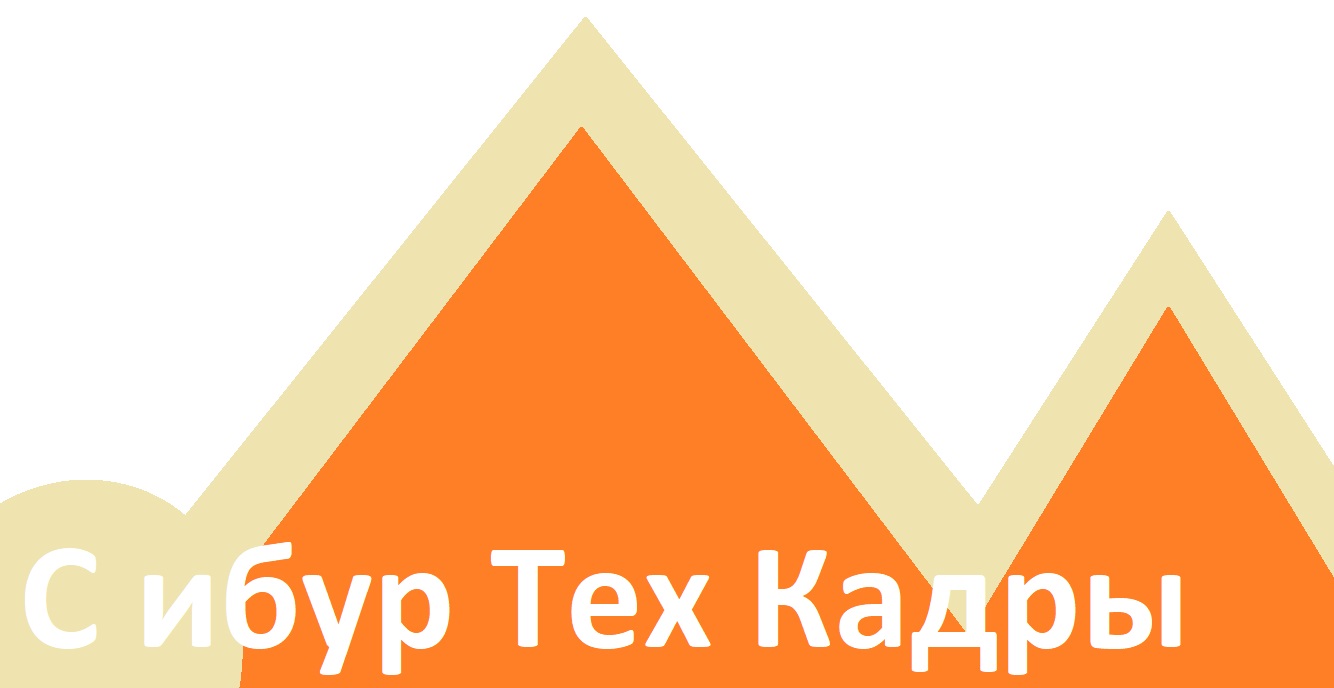 ООО "Сибуртехкадры"