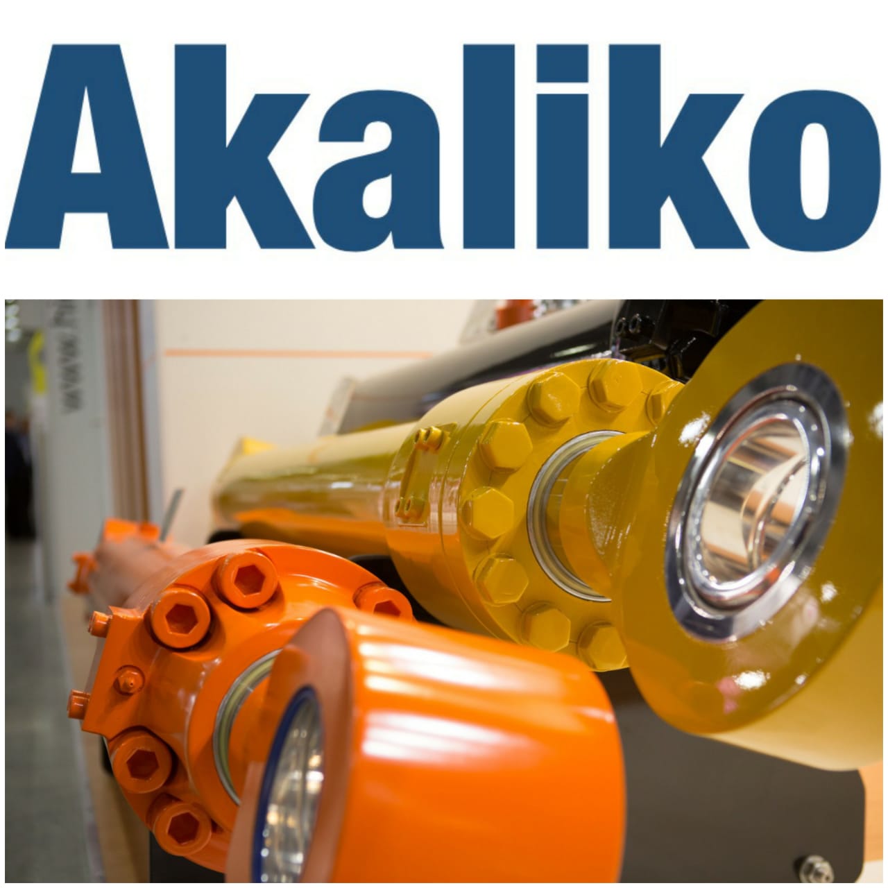 ООО "Акалико"